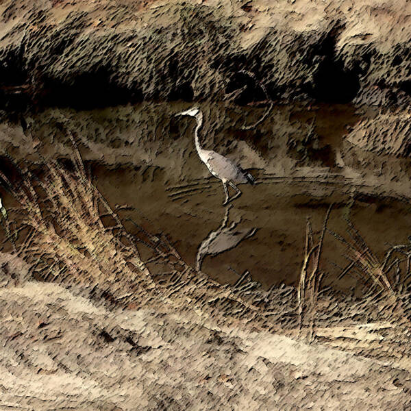 Wetland Poster featuring the photograph Marsh Bird by Mark Alesse