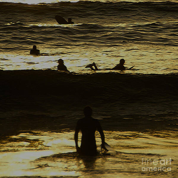 Ocean Poster featuring the photograph Meditari - Gold by Linda Shafer