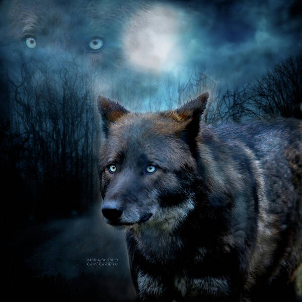 Wolf Poster featuring the mixed media Midnight Spirit by Carol Cavalaris