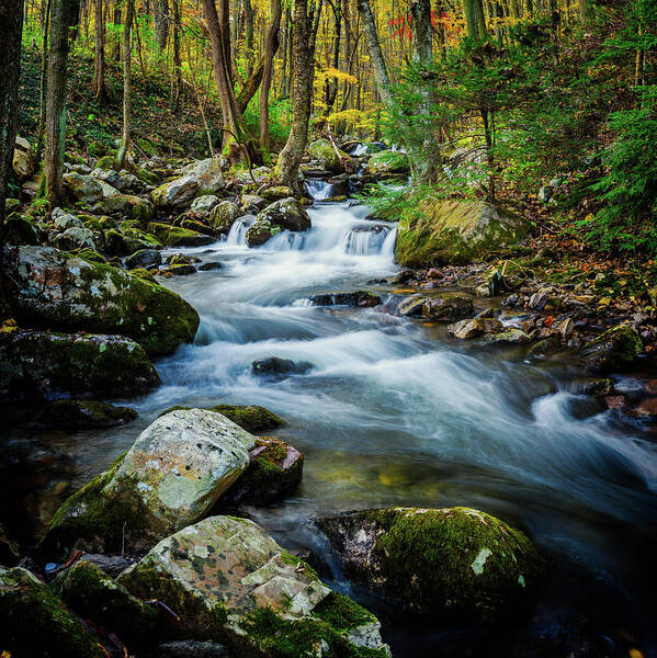 Landscape Poster featuring the photograph Mill Creek in Fall #3 by Joe Shrader