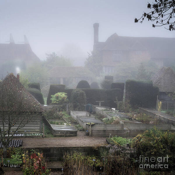 Plants Poster featuring the photograph Misty Garden, Great Dixter by Perry Rodriguez