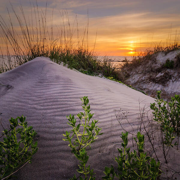 Charleston Poster featuring the photograph Morning Glow by Steve DuPree