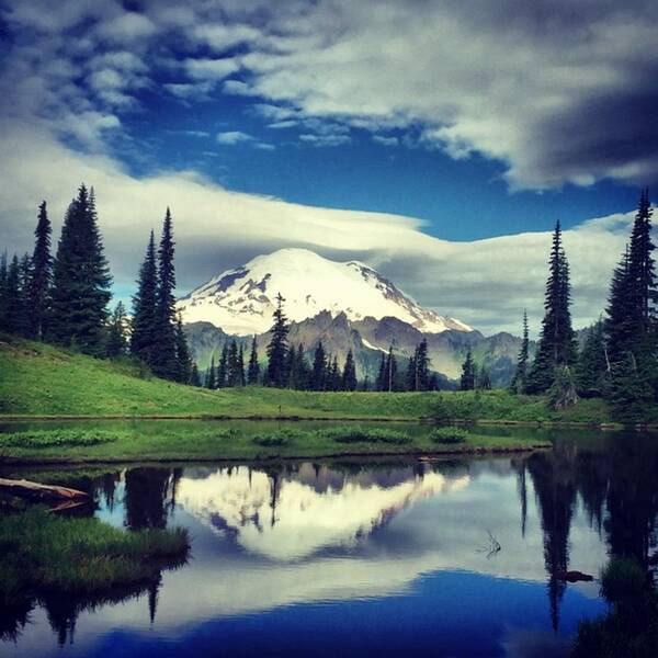 Iphone6 Poster featuring the photograph Mt Rainier This Morning #washington by Joan McCool