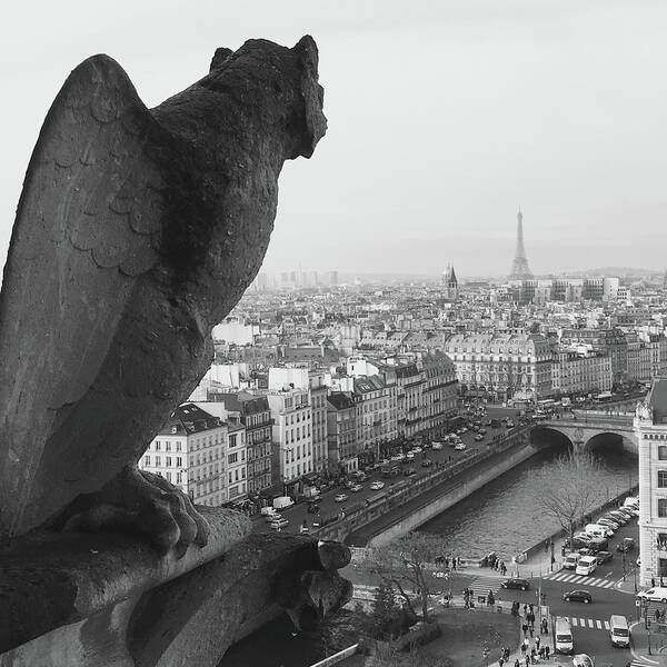 Gargoyle Poster featuring the photograph Notre Dame Gargoyle by Victoria Lakes