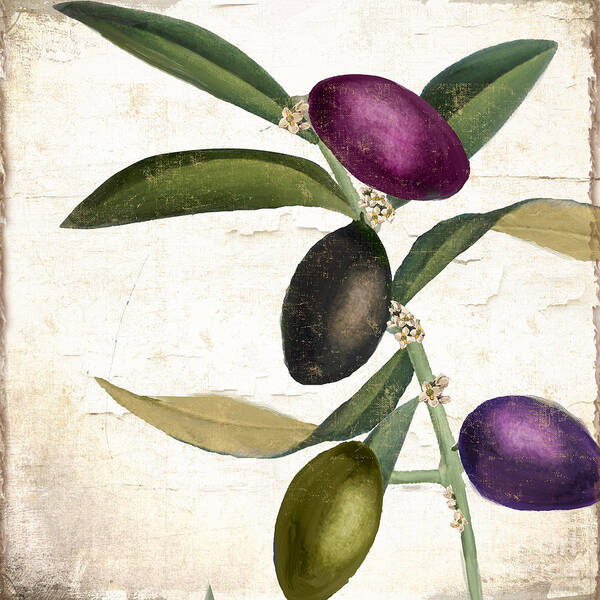 Olives Poster featuring the painting Olive Branch IV by Mindy Sommers