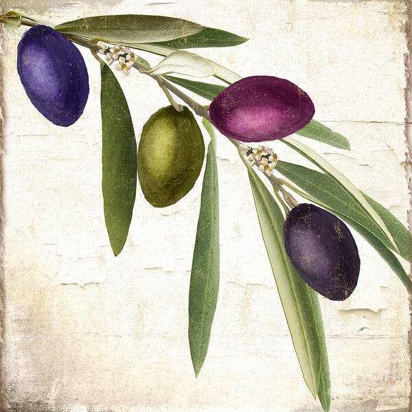 Olives Poster featuring the painting Olive Branch by Mindy Sommers