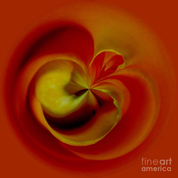 Flower Poster featuring the digital art Orb 2 by Elena Nosyreva