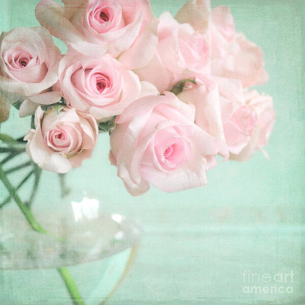 Pink Poster featuring the photograph Pale Pink Roses by Lyn Randle