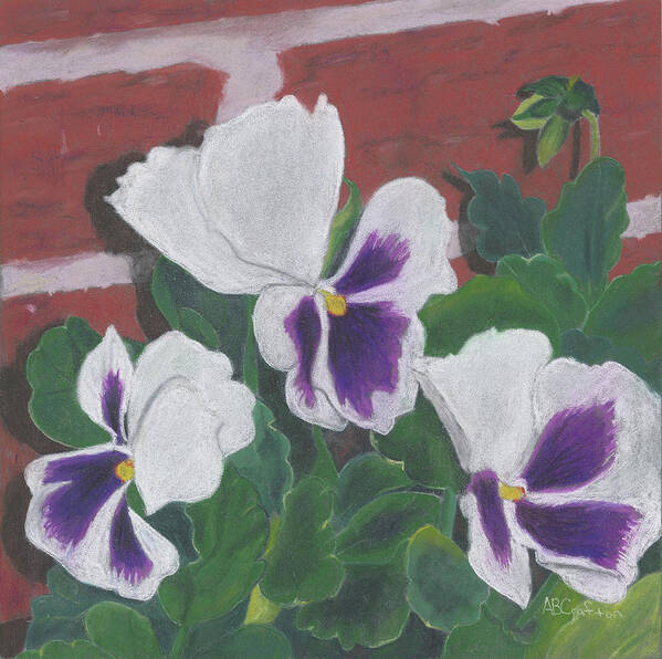 Pansy Poster featuring the painting Pansy Trio by Arlene Crafton