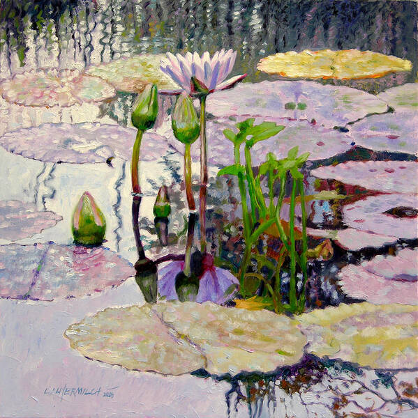 Water Lily Pond Poster featuring the painting Pastel Light by John Lautermilch