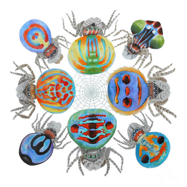 Peacock Spider Poster featuring the painting Toxic Tango II Peacock Spiders by Lucy Arnold