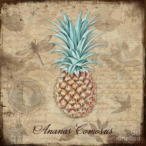 Pineapple Poster featuring the painting Pineapple, Ananas Comosus Vintage Botanicals collection by Tina Lavoie