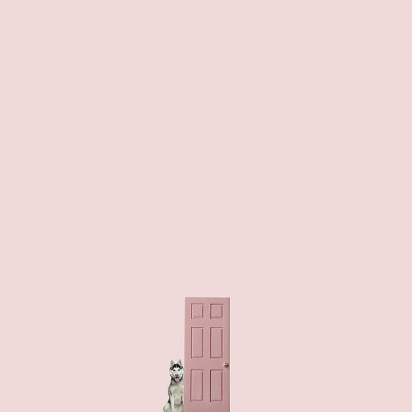 Minimal Poster featuring the photograph Pink On The Pink by Caterina Theoharidou