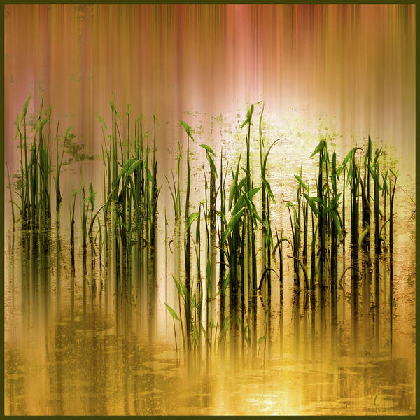 Grass Poster featuring the photograph Pond Grass Abstract  by Jessica Jenney