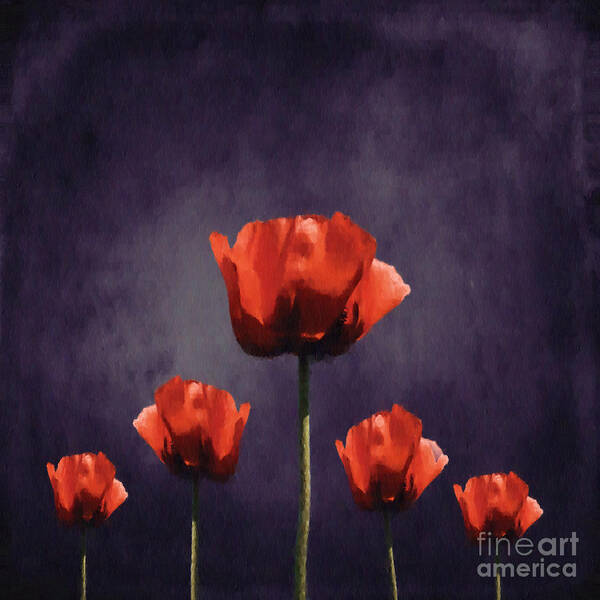 Poppies Poster featuring the digital art Poppies Fun 01b by Variance Collections