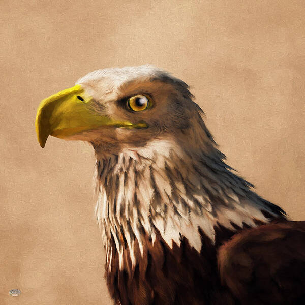 Eagle Head Poster featuring the digital art Portrait of an Eagle by Daniel Eskridge