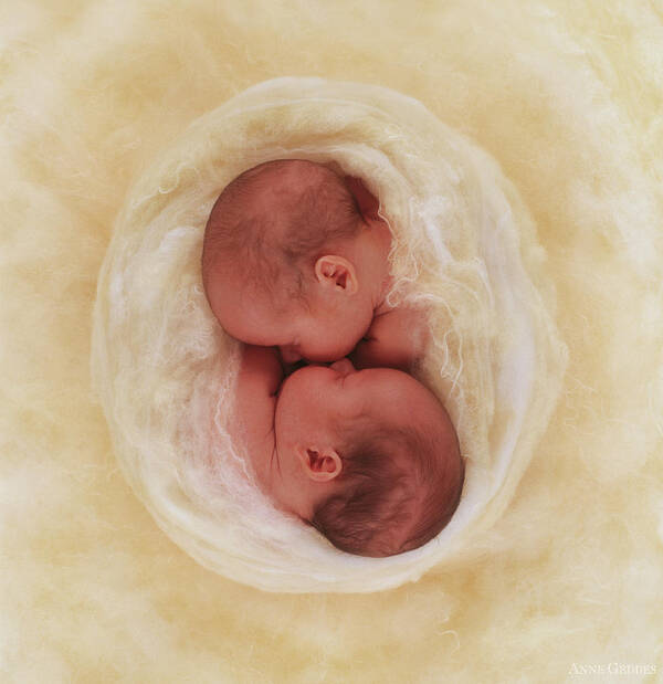 Twins Poster featuring the photograph Pure by Anne Geddes