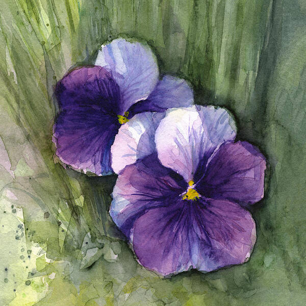Pansy Poster featuring the painting Purple Pansies Watercolor by Olga Shvartsur