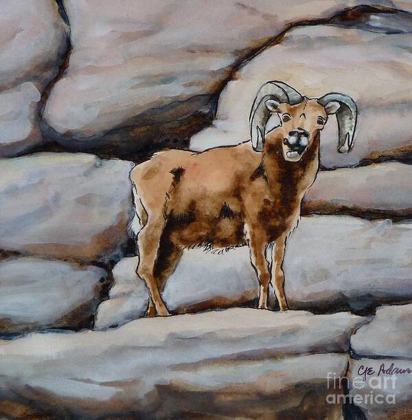 Ink Watercolor Mountain Sheep Ram Colorado Poster featuring the painting Ram - Something To Say by Cheryl Emerson Adams