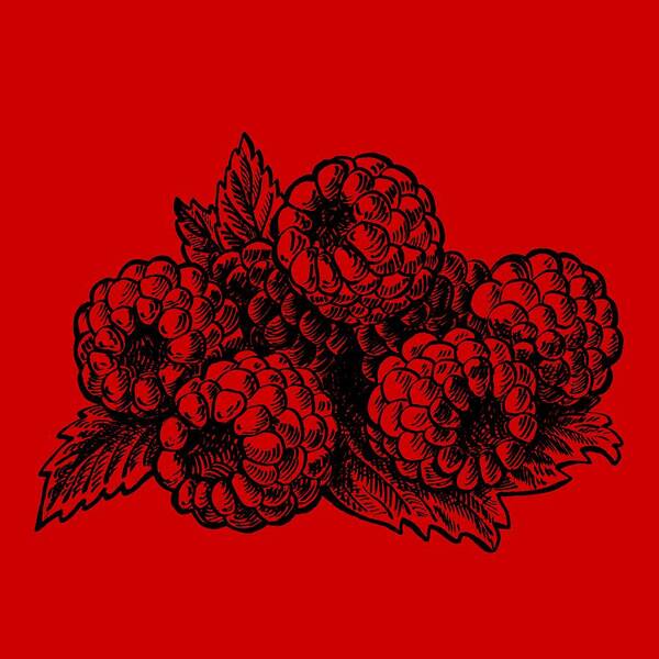 Raspberries Poster featuring the painting Rasbperries by Irina Sztukowski