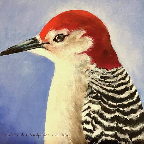Red Breasted Woodpecker Poster featuring the painting Red Breasted Woodpecker two by Pat Dolan