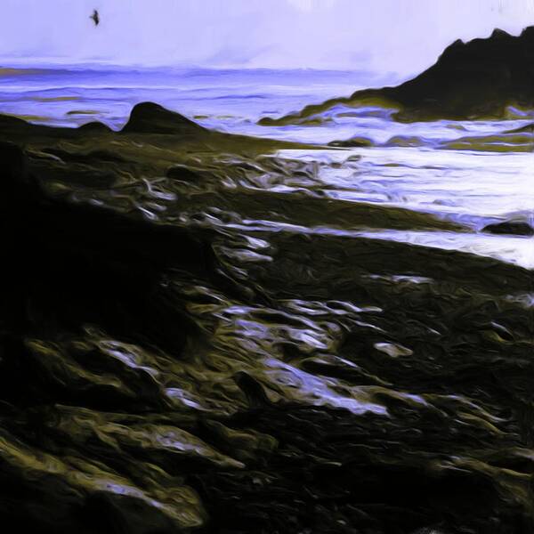 Beaches Poster featuring the painting Rocky Beach by Shelley Bain