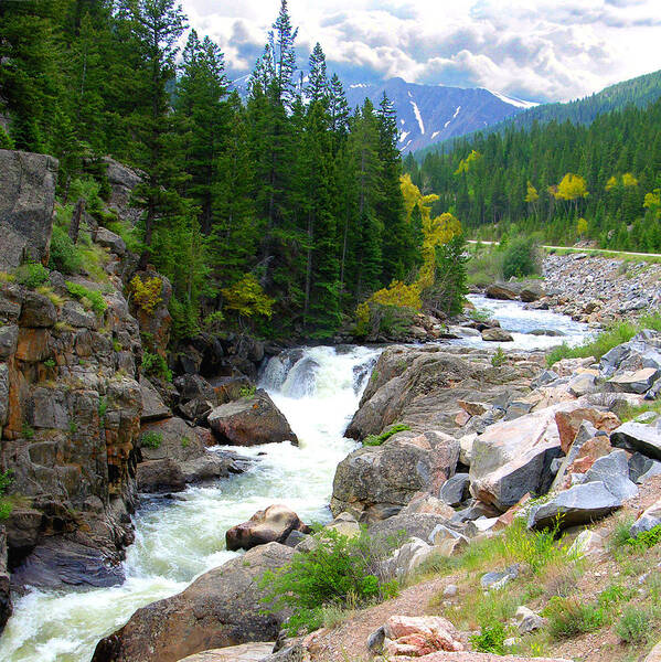 Landscape Poster featuring the photograph Rocky Mountain Stream by John Lautermilch