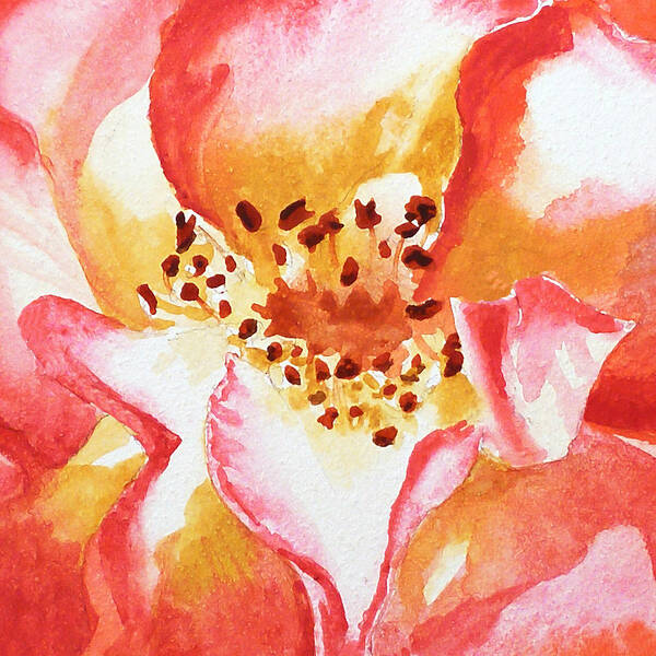Rose Close Up Poster featuring the painting Rose Close Up Painting by Irina Sztukowski by Irina Sztukowski