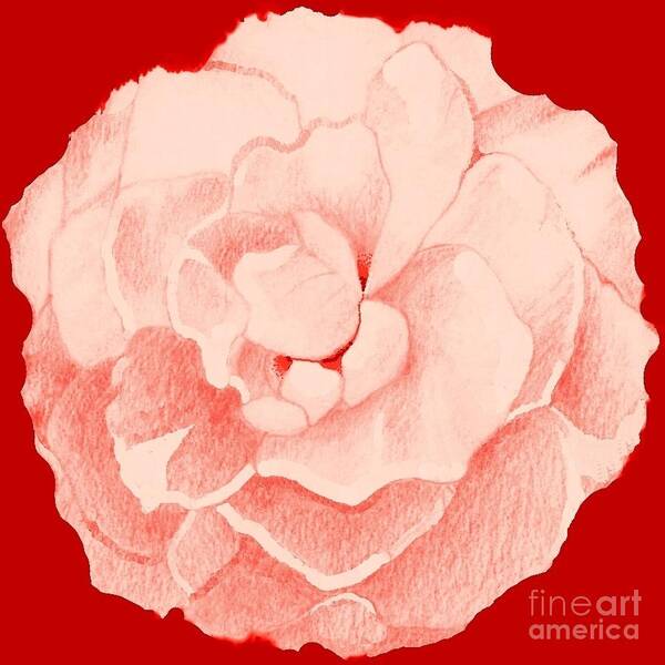 Pink Rose Poster featuring the digital art Rose On Red by Helena Tiainen