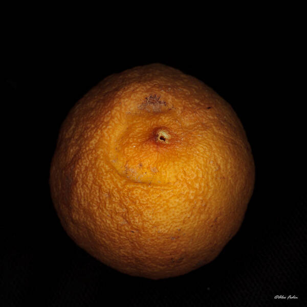 Food Poster featuring the photograph Rotten Lemon by Alexander Fedin