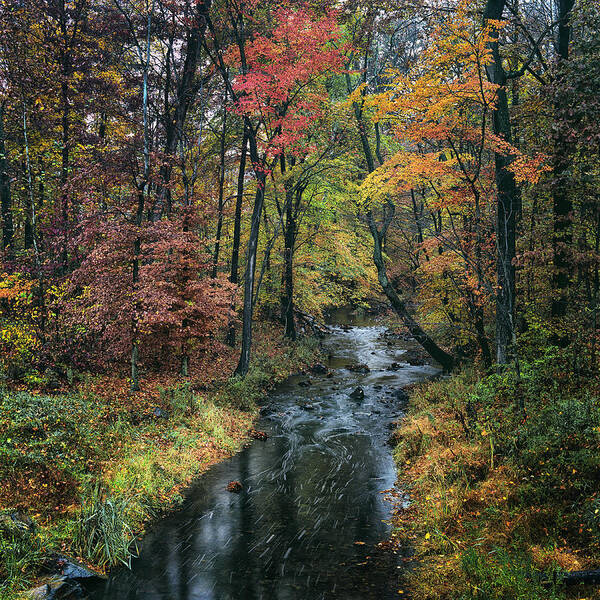 Savage Creek; Savage; Maryland; Autumn; Fall; Color; Creek; Stream; Travel; Places; Landscape Poster featuring the photograph Savage Creek by Robert Fawcett