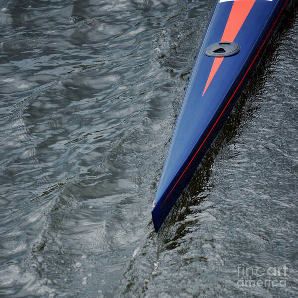 Athlete Poster featuring the photograph Scull Blue at the Regatta by Jason Freedman