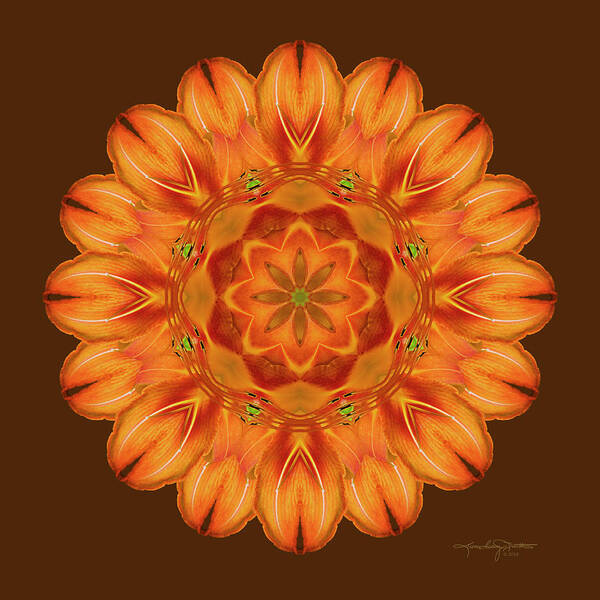 Flower Mandala Poster featuring the photograph Selu's Song by Karen Casey-Smith