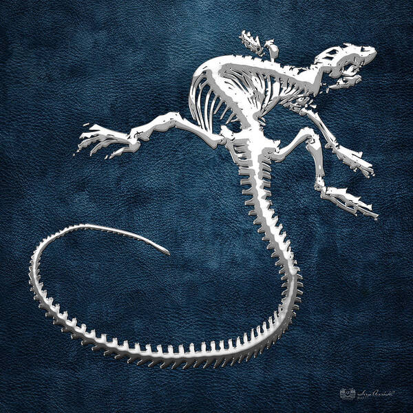 Precious Bones By Serge Averbukh Poster featuring the photograph Silver Iguana Skeleton on Blue Silver Iguana Skeleton on Blue by Serge Averbukh