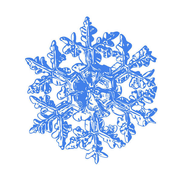 Snowflake Poster featuring the digital art Snowflake vector - Gardener's dream white version by Alexey Kljatov
