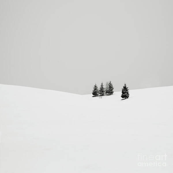 Contemporary Poster featuring the photograph Snowscapes  Almost there by Ronny Behnert