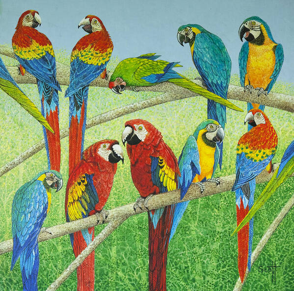 Parrot Poster featuring the painting Spreading the news by Pat Scott