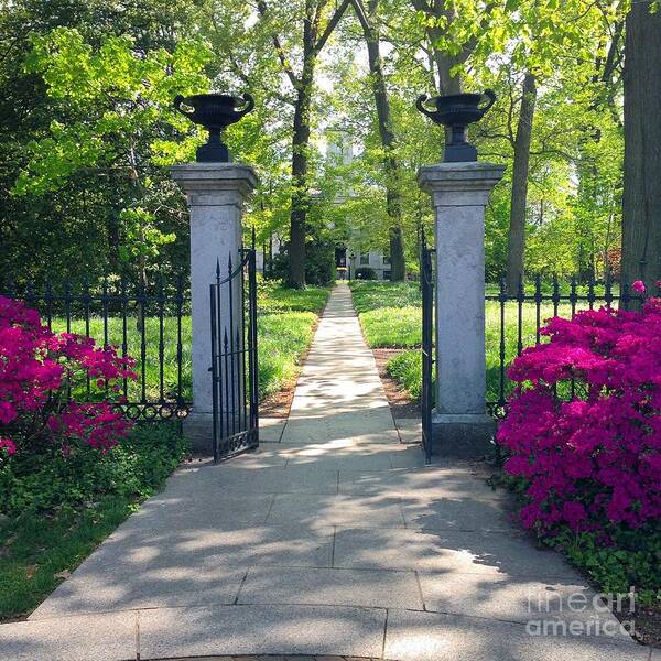 St Louis Missouri Poster featuring the photograph Spring Path To The Mausoleum by Debbie Fenelon