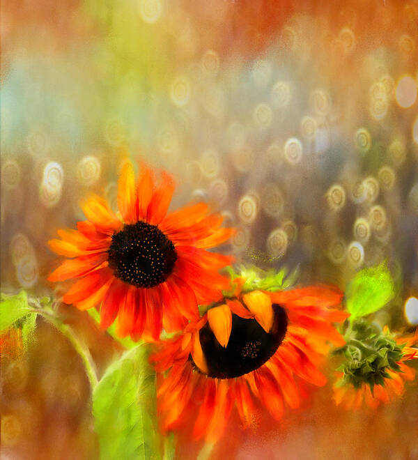 Floral Poster featuring the digital art Sunflower Rain by Sand And Chi