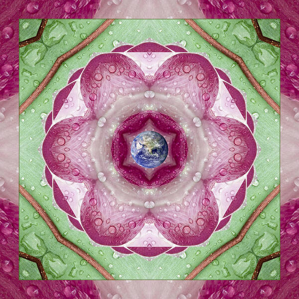Mandalas Poster featuring the photograph Sweet Dew by Bell And Todd