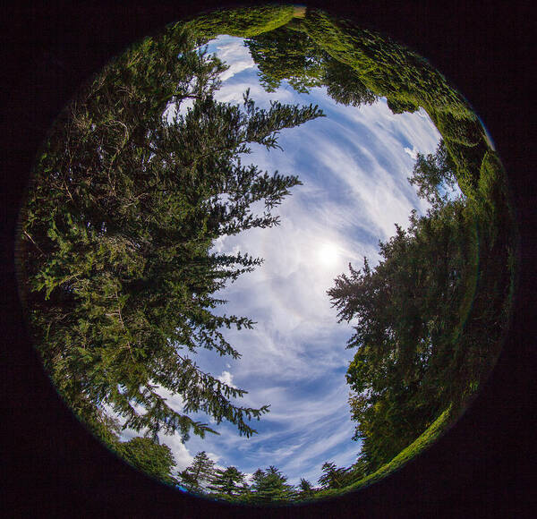 Fisheye Poster featuring the photograph The Berkshires 944 by Michael Fryd