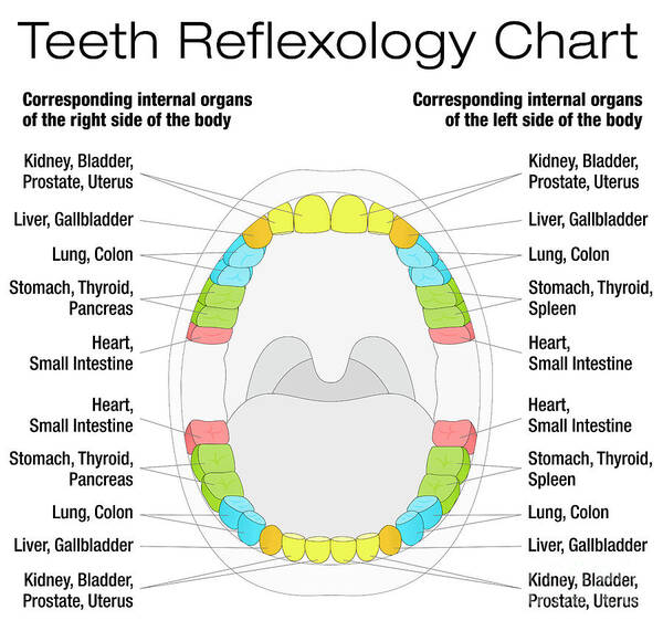 Reflexology Chart Poster