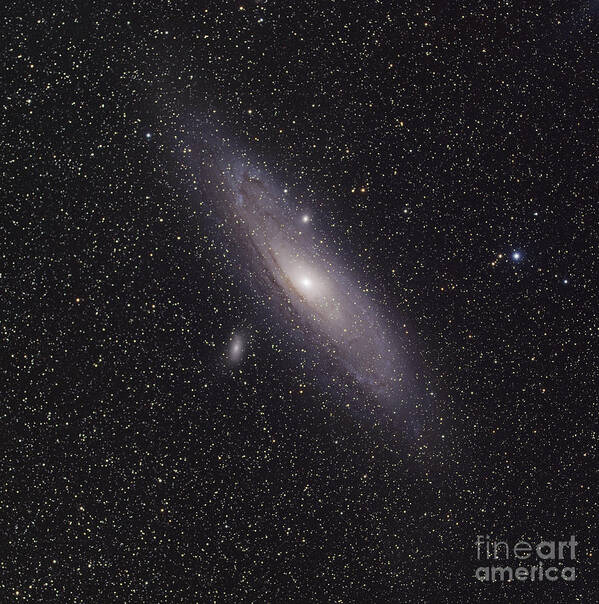 Messier 31 Poster featuring the photograph The Andromeda Galaxy by Phillip Jones