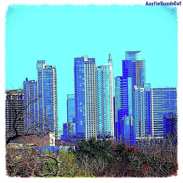 Beautiful Poster featuring the photograph The #austin #skyline On A Sunny, Cold by Austin Tuxedo Cat