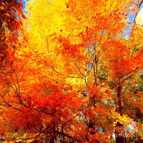 Trees Poster featuring the painting The Beauty Of Autumn by MaryLee Parker