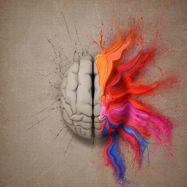 Brain Poster featuring the digital art The Creative Brain by Johan Swanepoel