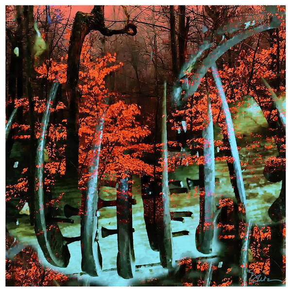 Forest Poster featuring the photograph The Forest by Peggy Dietz