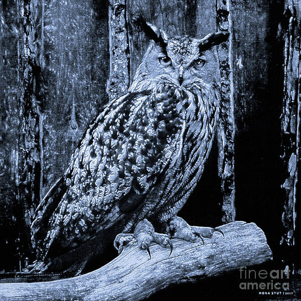 Mona Stut Poster featuring the mixed media Majestic Great Horned Owl Bubo Bubo BW by Mona Stut