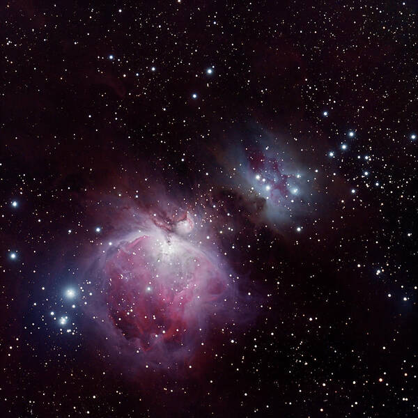 M42 Poster featuring the photograph The Great Nebula in Orion by Alan Vance Ley