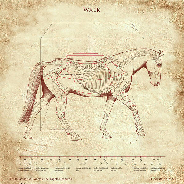 Horse Poster featuring the painting The Horse's Walk Revealed by Catherine Twomey